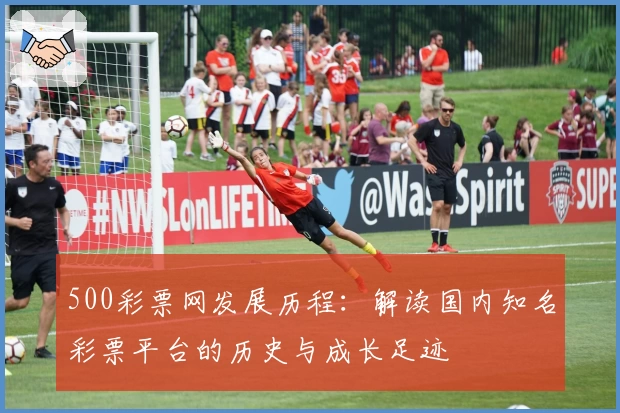 500彩票网发展历程：解读国内知名彩票平台的历史与成长足迹