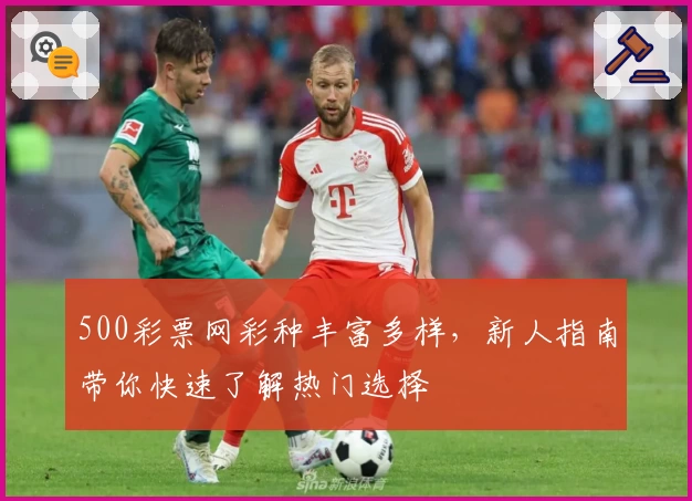 500彩票网彩种丰富多样，新人指南带你快速了解热门选择