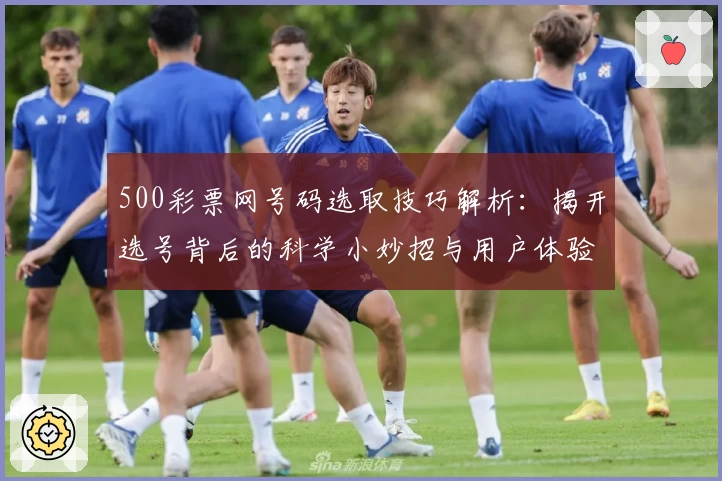 500彩票网号码选取技巧解析：揭开选号背后的科学小妙招与用户体验分享