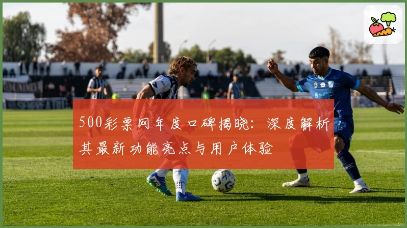 500彩票网年度口碑揭晓：深度解析其最新功能亮点与用户体验