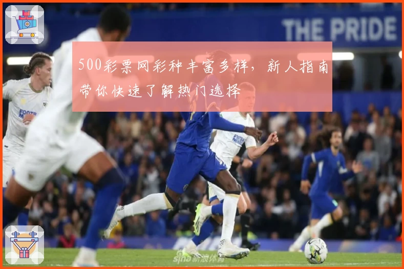 500彩票网彩种丰富多样，新人指南带你快速了解热门选择